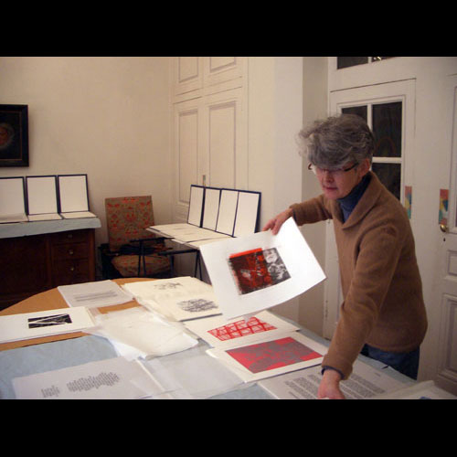 Montage du portfolio 'Lyon, traces pour demain'